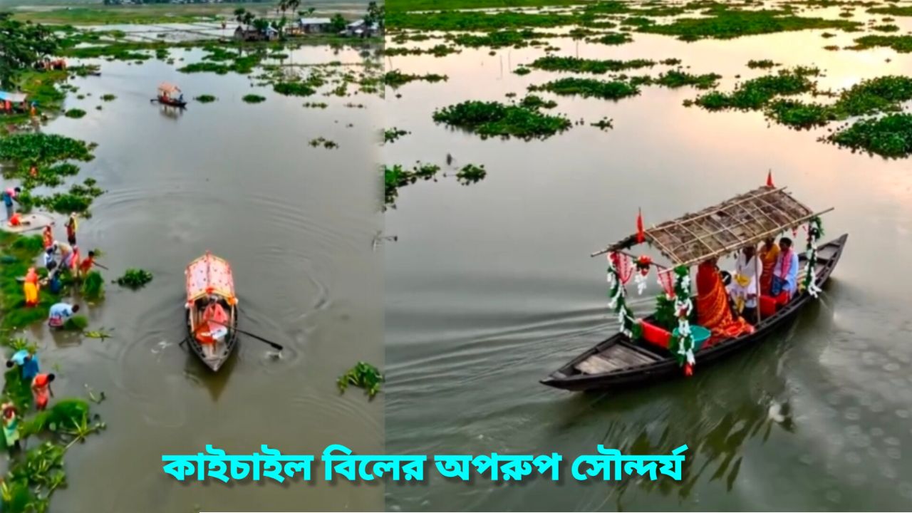 বর্ষায় অপরূপ রূপে কাইচাইল বিল: